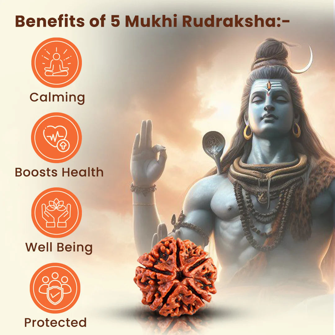 OM Shiv Trishool Pendant with Rudraksha Chain